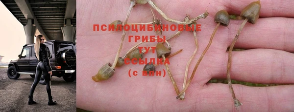 2c-b Заволжье