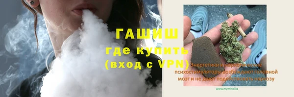 трава Ельня