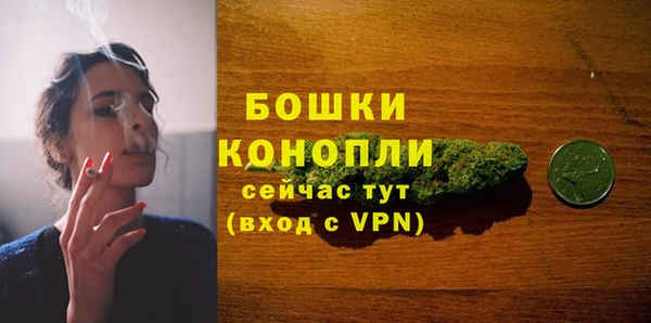 спиды Няндома