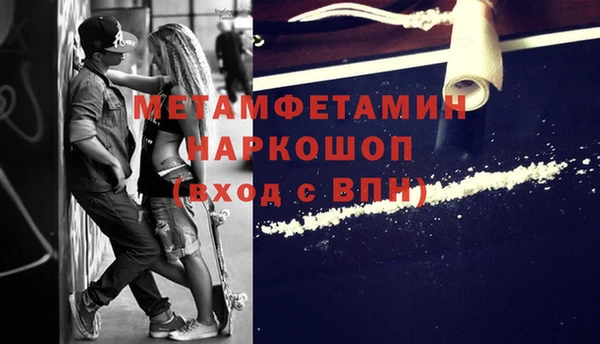 трава Ельня
