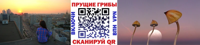 Галлюциногенные грибы прущие грибы  закладка  Буй 